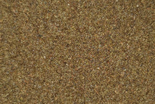 Load image into Gallery viewer, St John's Wort, square stalked,- 0.5g - Goren Farm Seeds