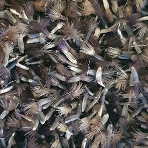 Greater Knapweed - 3g - Goren Farm Seeds