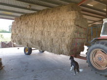 Load image into Gallery viewer, Small bale Hay - Goren Farm Seeds
