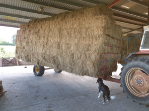 Small bale Hay - Goren Farm Seeds