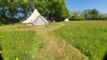 Load image into Gallery viewer, Wild camping in wildflower meadows - Goren Farm Seeds
