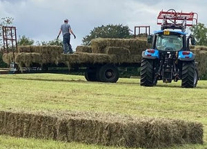 haymaking