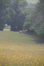 Load image into Gallery viewer, Wild Camping in  flower Meadows - Goren Farm Seeds
