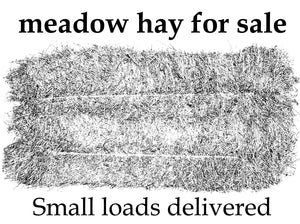 Small bale Hay - Goren Farm Seeds